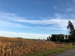 Property photo 73 - MAJOR LAND AUCTION - 1,085+/- ACRES IN 24 TRACTS IN HENRY & WAYNE COUNTIES, INDIANA